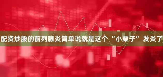 配资炒股的前列腺炎简单说就是这个 “小栗子” 发炎了